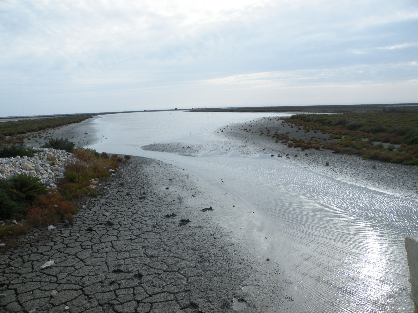 En allant à la Digue de la Mer en Camargue