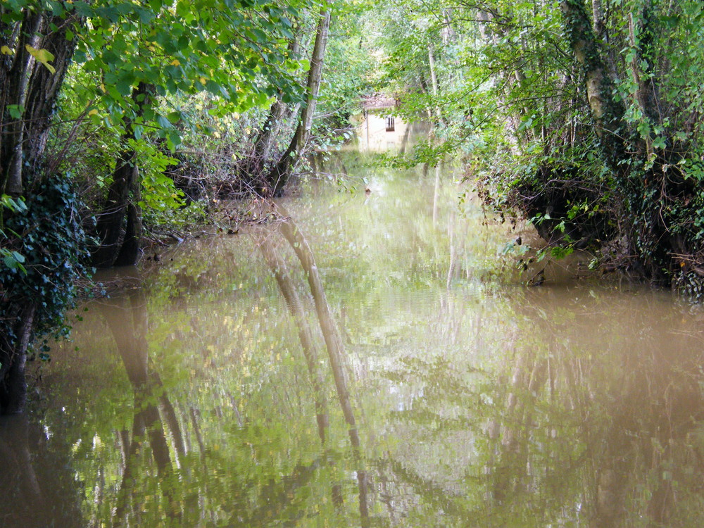 en allant au moulin