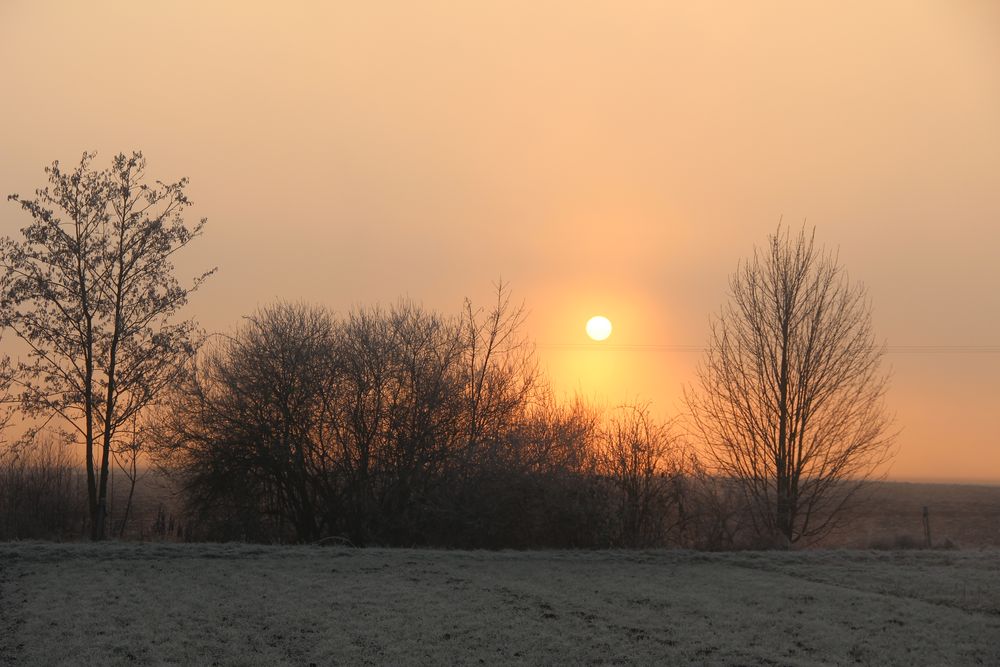 En Alsace ce matin