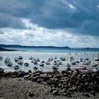 En attendant la marée / Low Tide