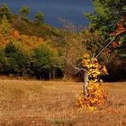 en attendant la pluie