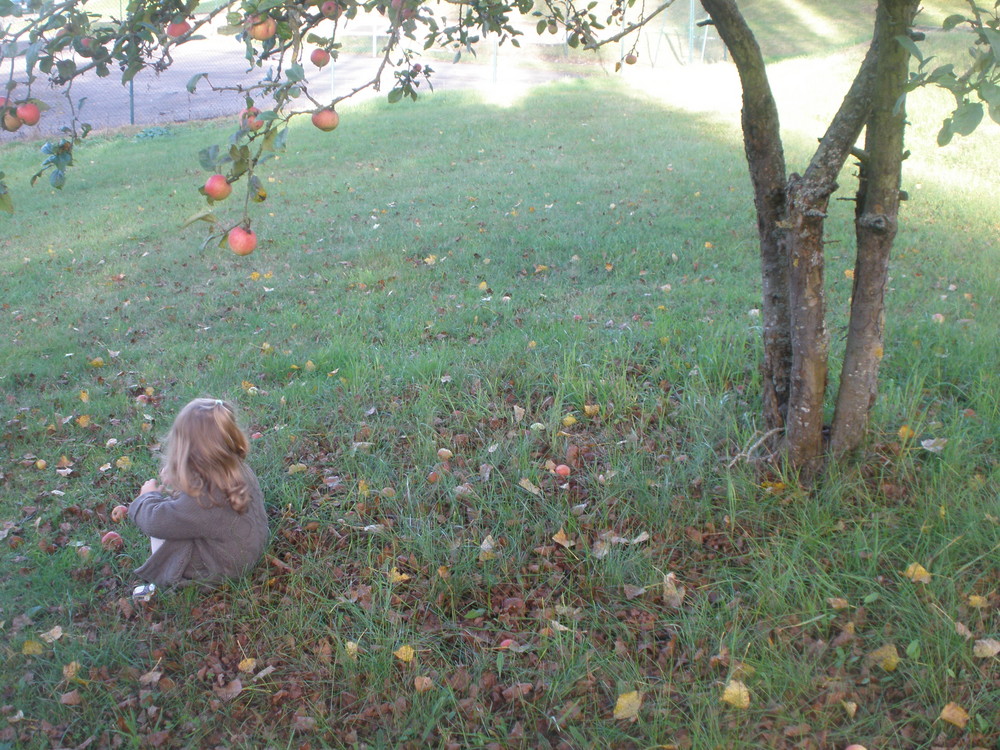 En attendant la pomme