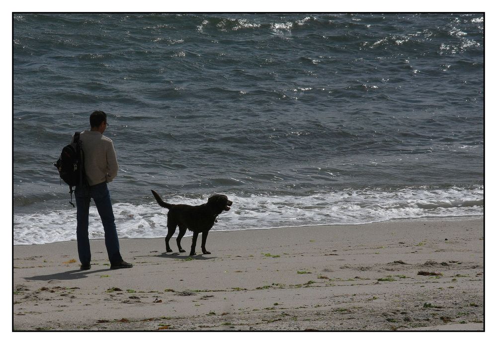 " En attendant le grain, les deux complices jouant sur la plage !! "