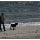 " En attendant le grain, les deux complices jouant sur la plage !! "