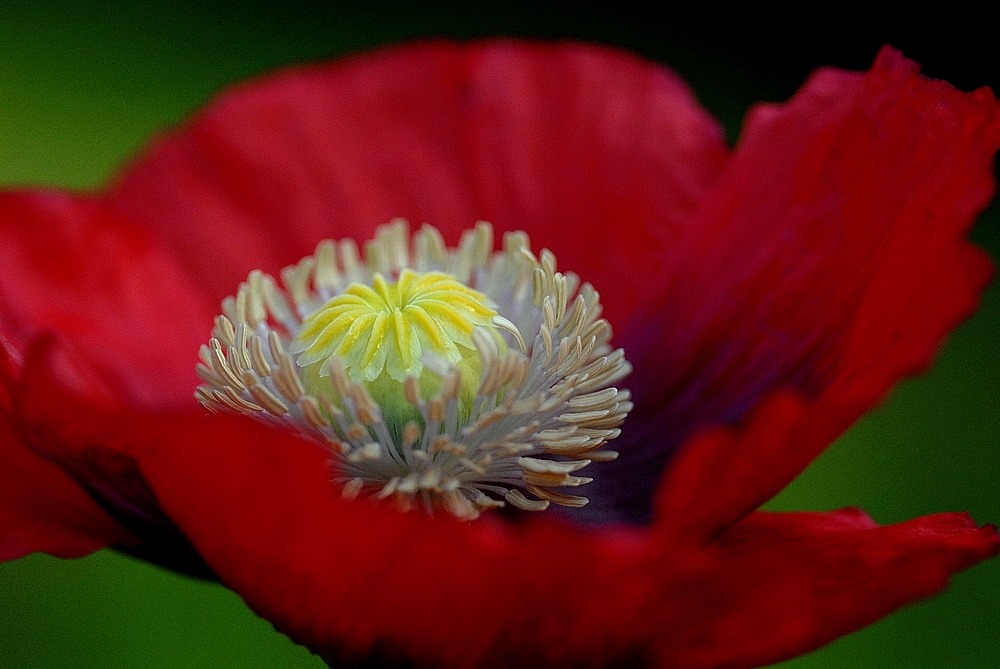 En attendant le mois de mai......