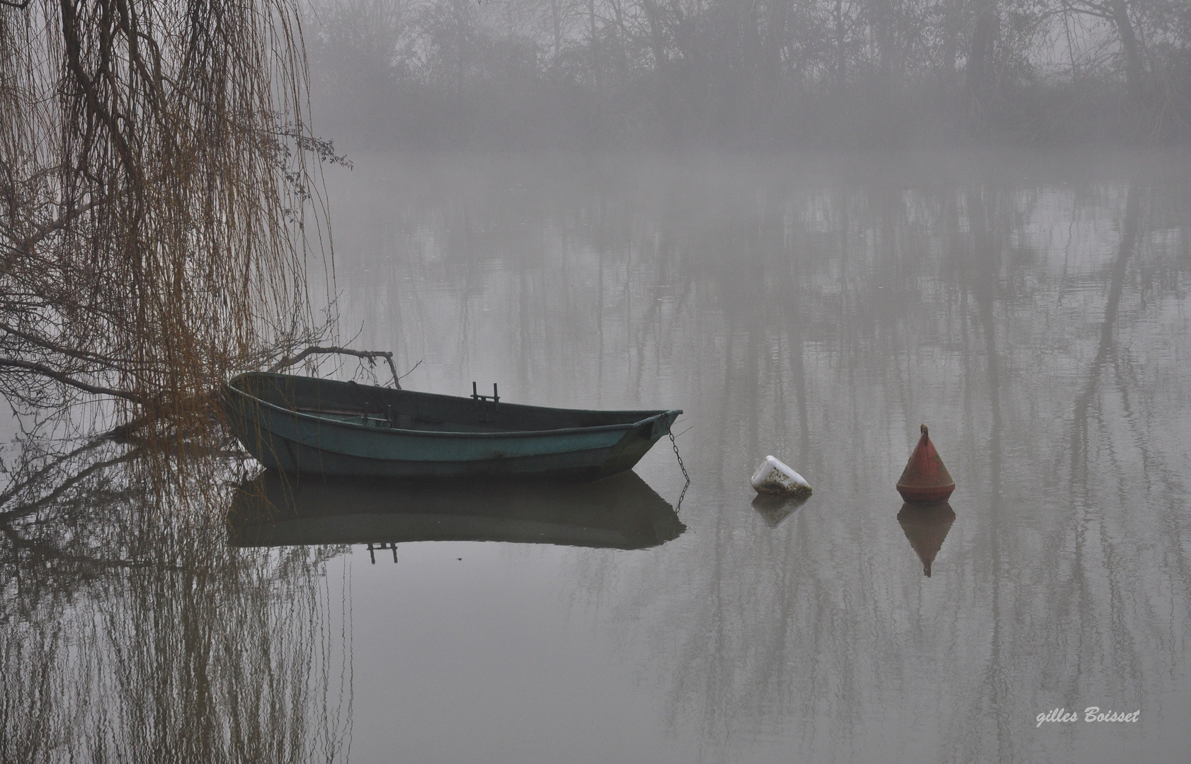 en attendant le printemps...