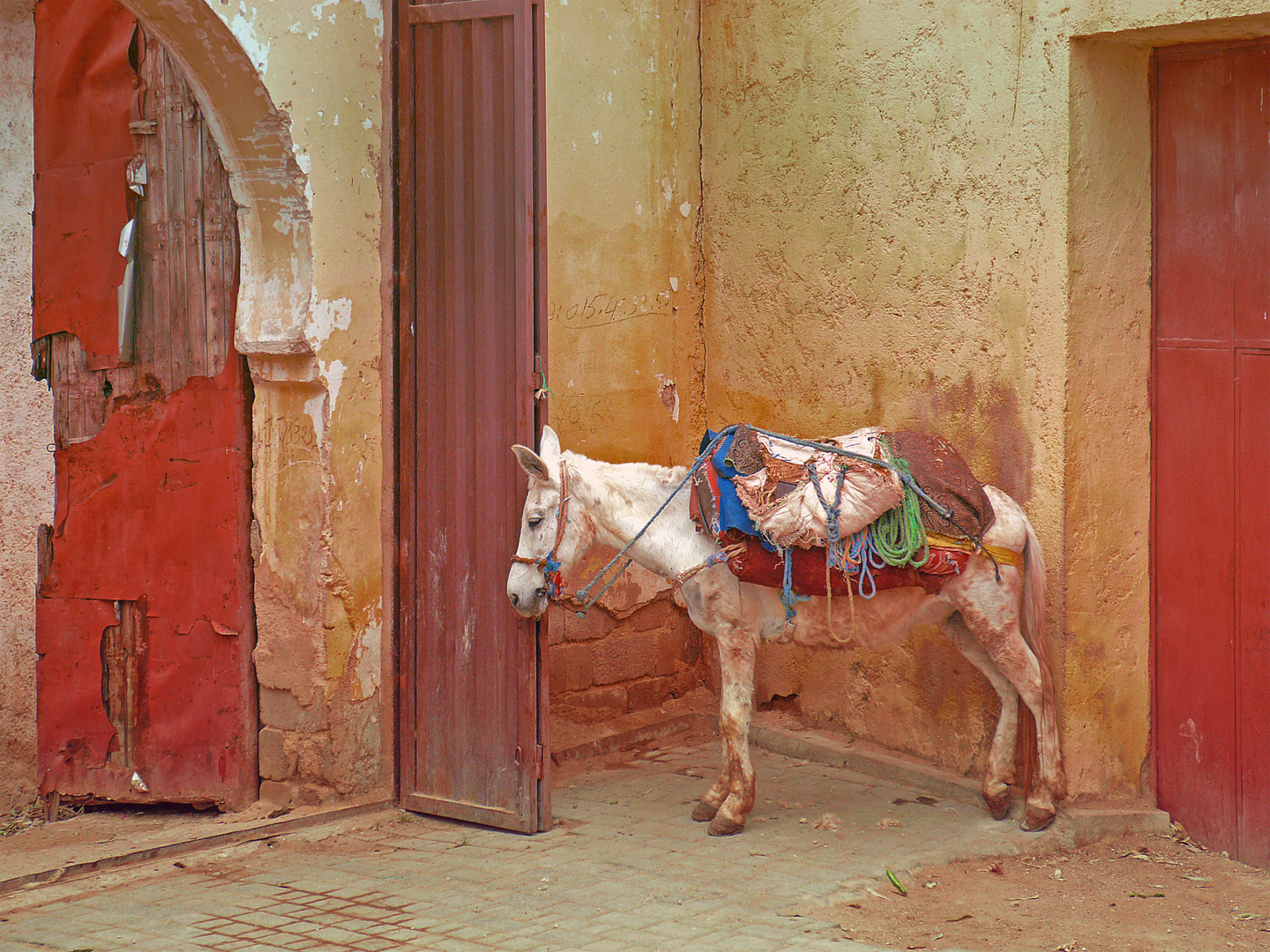 En attente de travaux…scènes de rue dans la médina de Fès