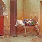 En attente de travaux…scènes de rue dans la médina de Fès