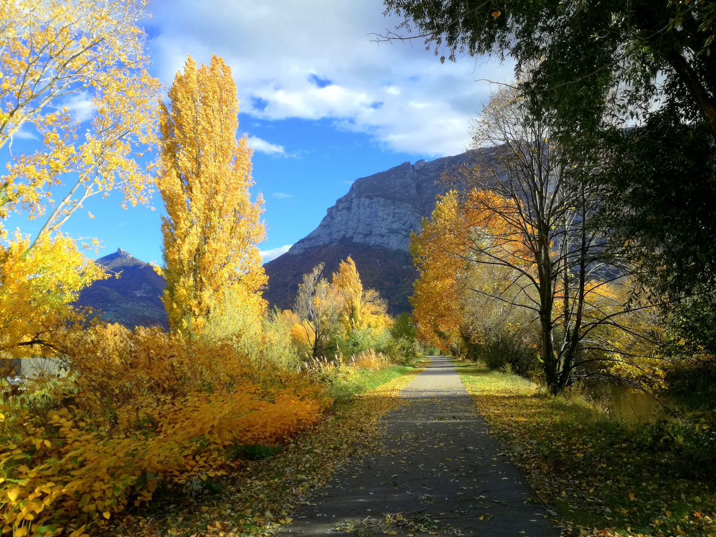 En automne, le long de la Vence ... (isère)