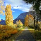 En automne, le long de la Vence ... (isère)