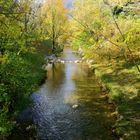 En automne, le long de la Vence ... (isère)