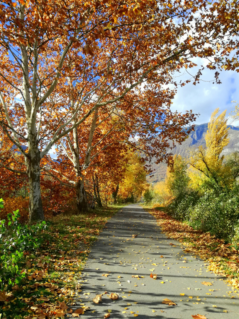 En automne, le long de la Vence ... (isère)