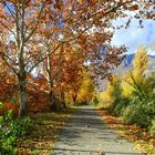 En automne, le long de la Vence ... (isère)