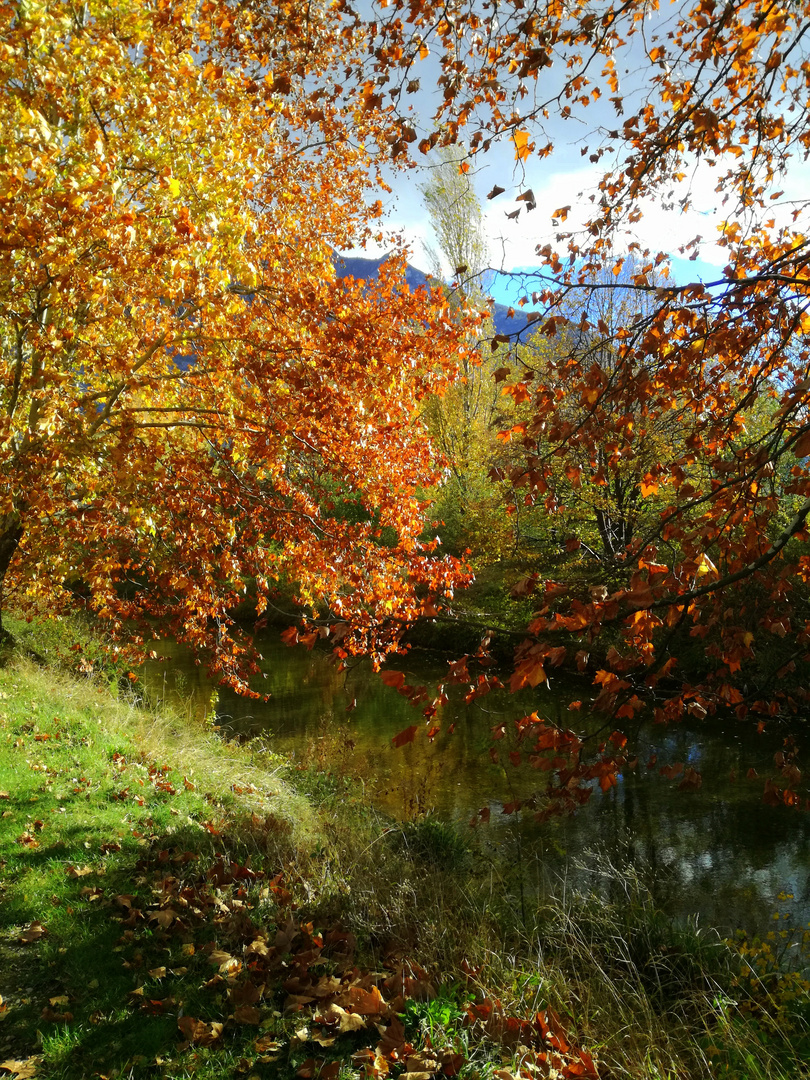 En automne, le long de la Vence ... (isère)