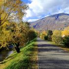 En automne, le long de la Vence ... (isère)