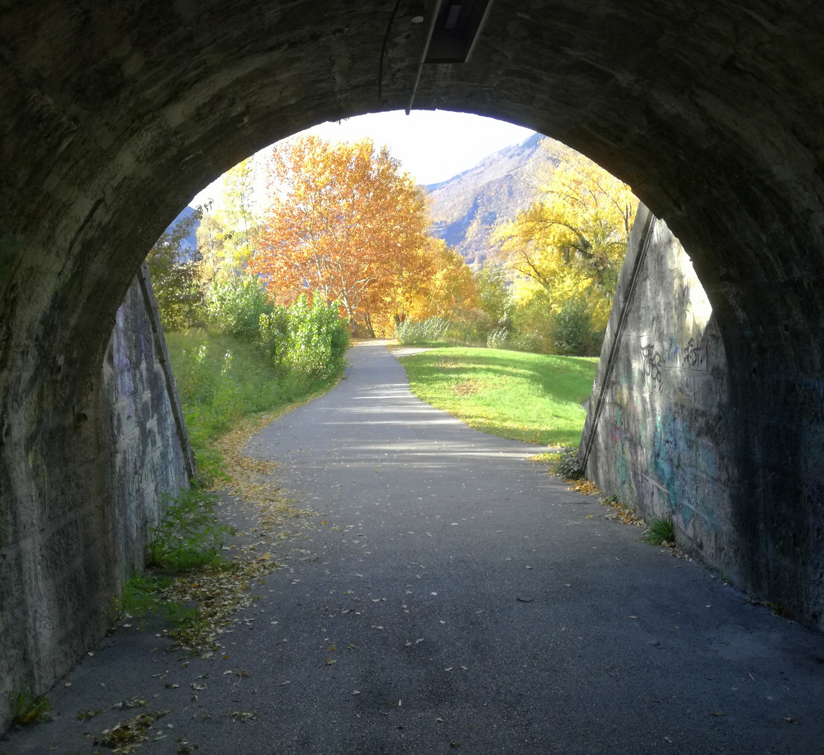 En automne, le long de la Vence ... (isère)