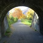 En automne, le long de la Vence ... (isère)