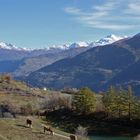 , en automne ,paysage de montagne