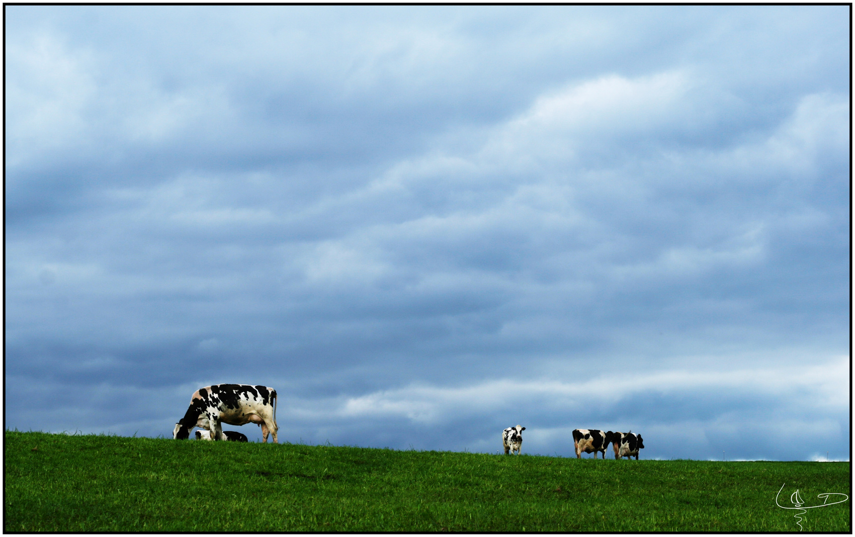 En Auvergne