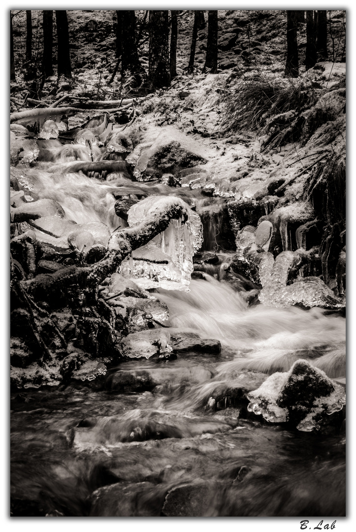 En aval de la cascade.