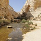 En Avdat National Park, dans le désert de Néguev