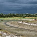 En baie de Somme