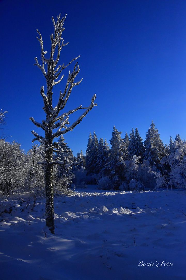 En bleu et blanc