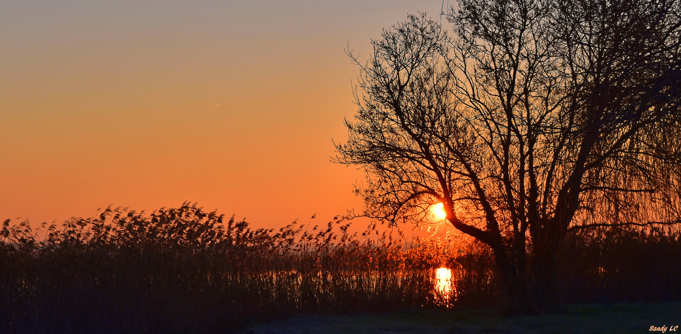 En bord de Charente