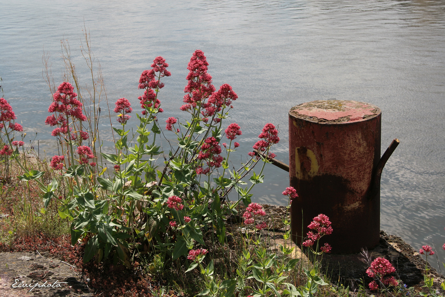 En bord de Loire