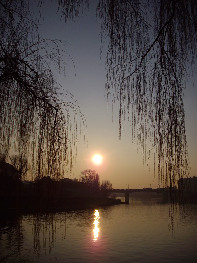 En bord de Saône ...