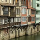 en bordure de l'Agout à Castres (Tarn)