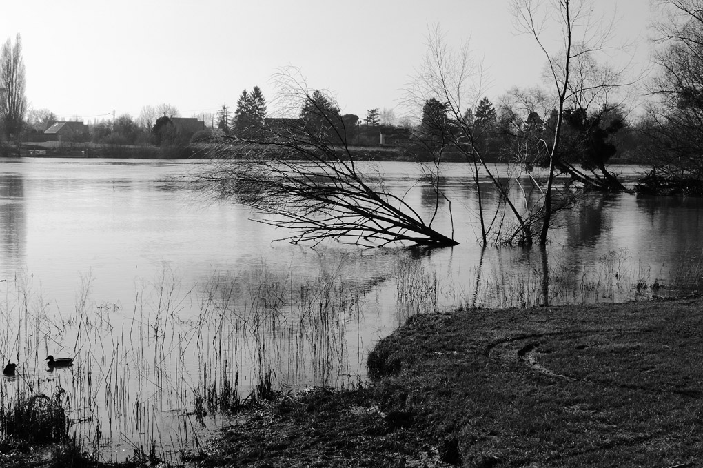 En bordure de Seine