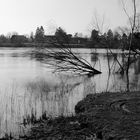 En bordure de Seine