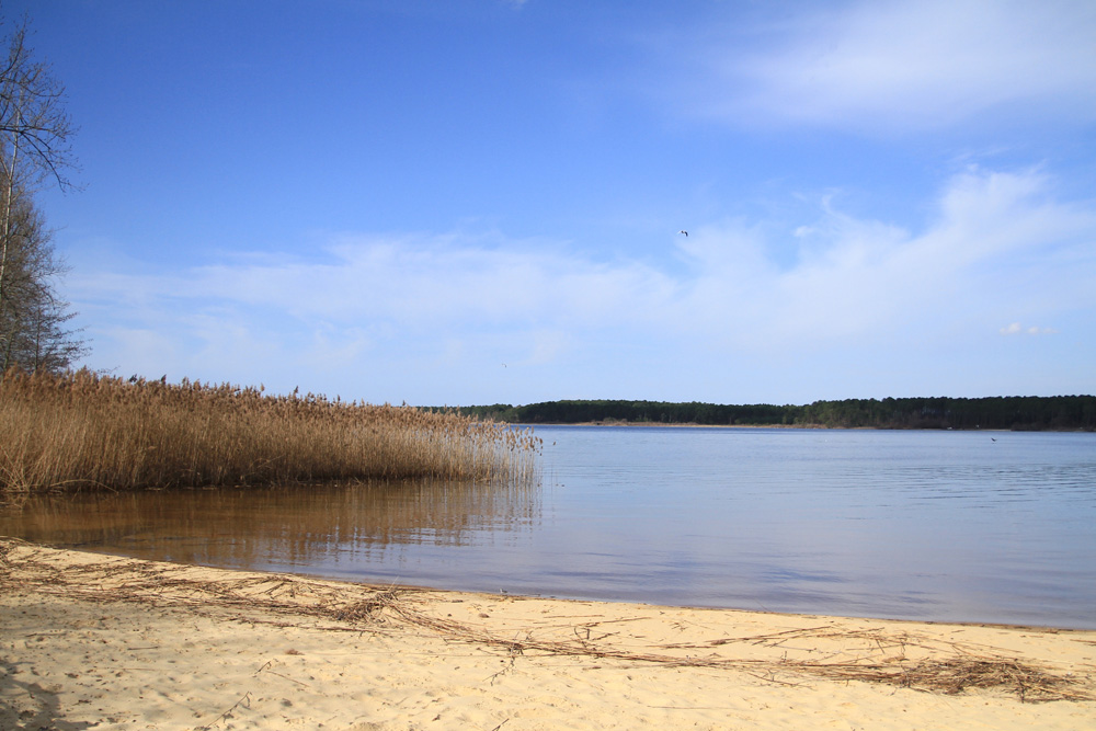 en bordure du lac !