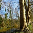 ...En bordure du Loing à Nemours....