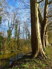 ...En bordure du Loing à Nemours....