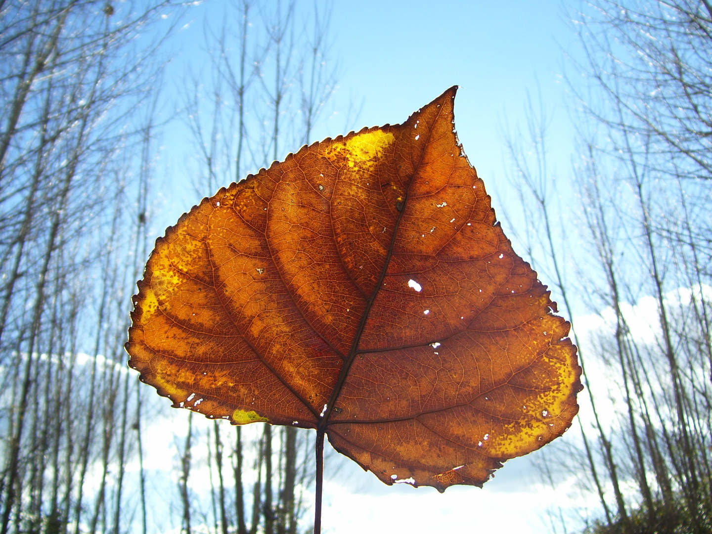 EN BRAZOS DEL OTOÑO...FERNANDO LÓPEZ   fOTOGRAFÍAS...