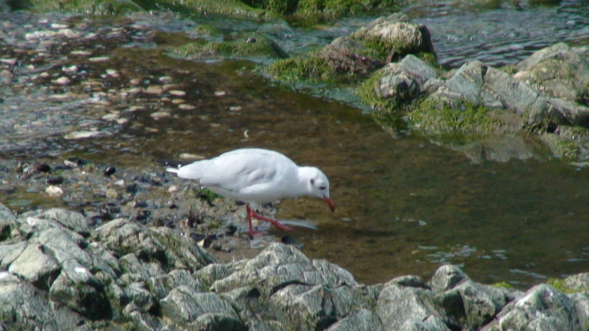 En Bretagne