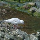 En Bretagne