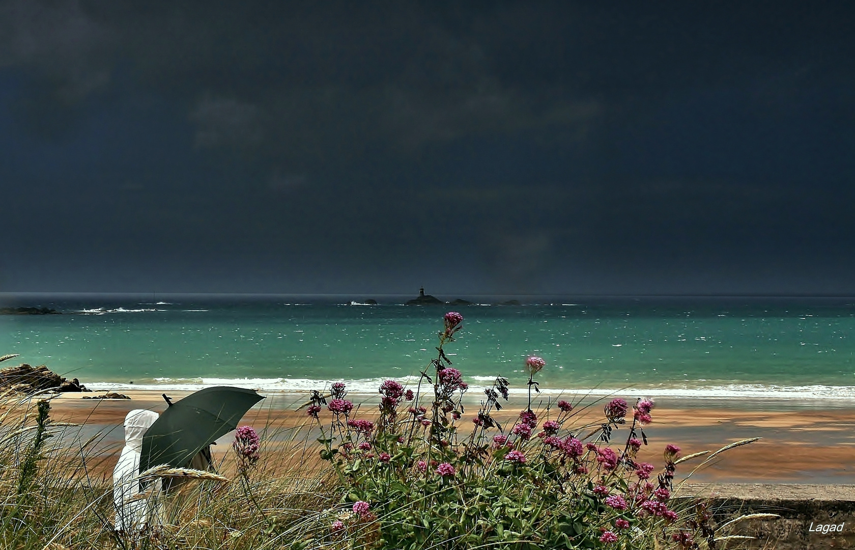 En Bretagne, les fleurs vont jusqu'à la mer......