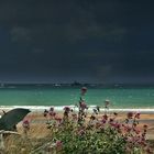 En Bretagne, les fleurs vont jusqu'à la mer......