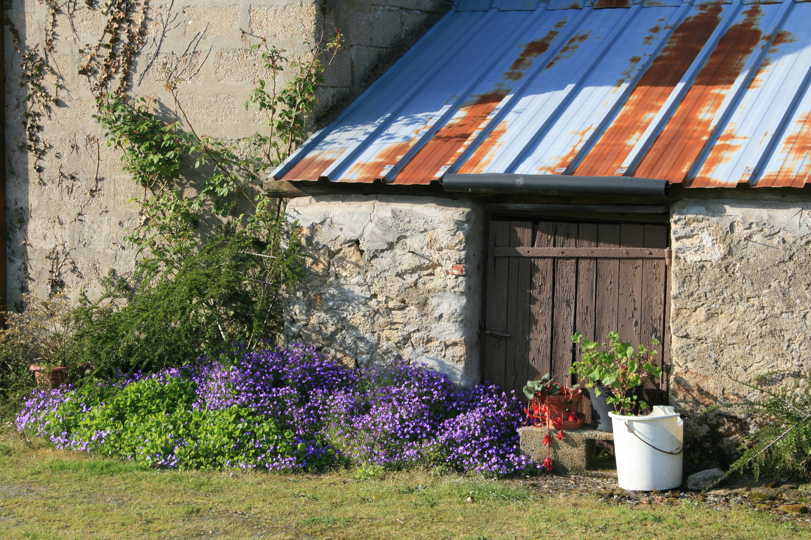 En Brière.