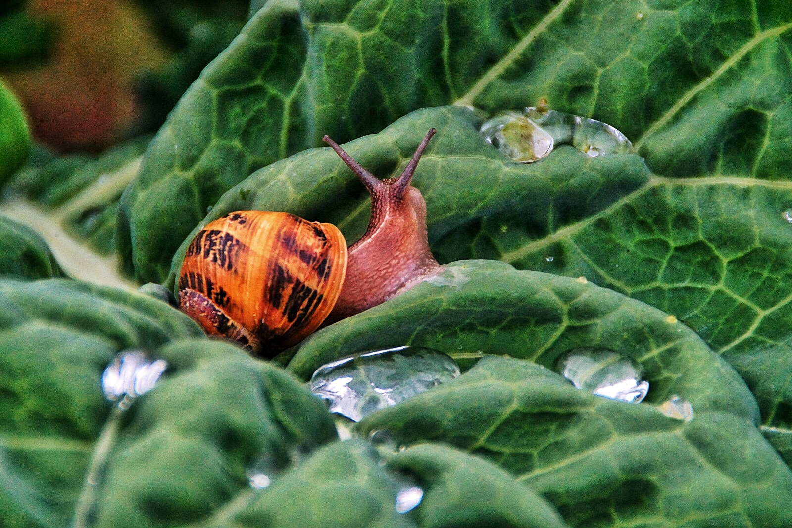 En busca del agua