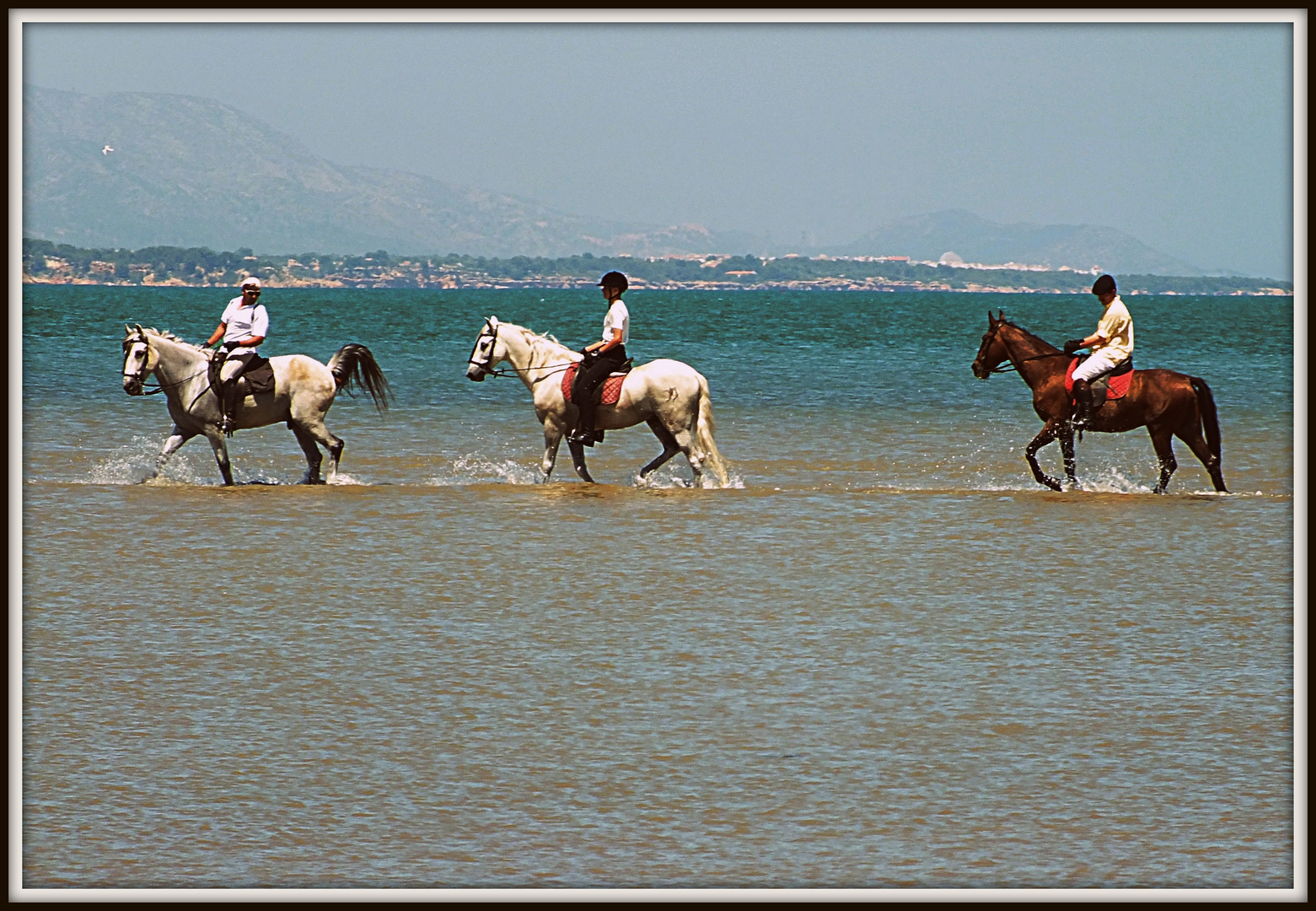 EN CABALLO POR EL EBRO