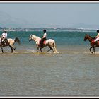 EN CABALLO POR EL EBRO