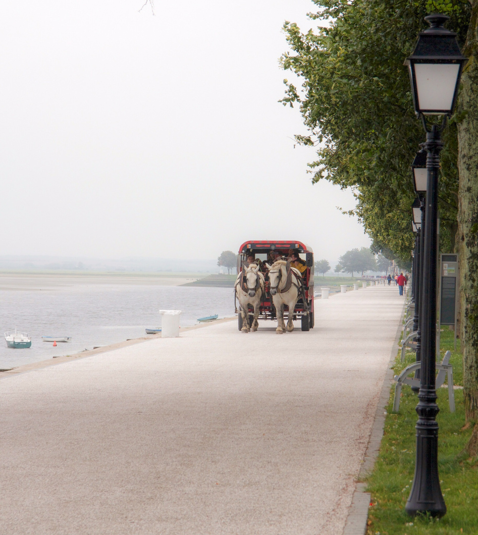 En calèche à Saint-Valéry-sur-Somme