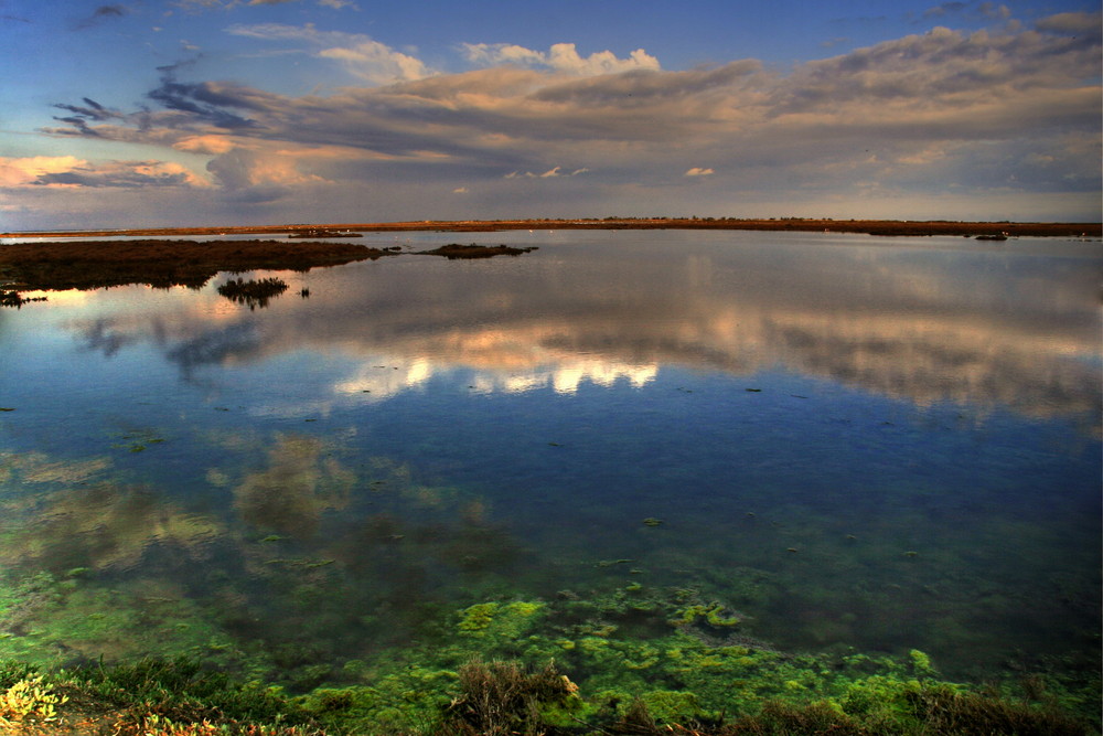 En Camargue 1