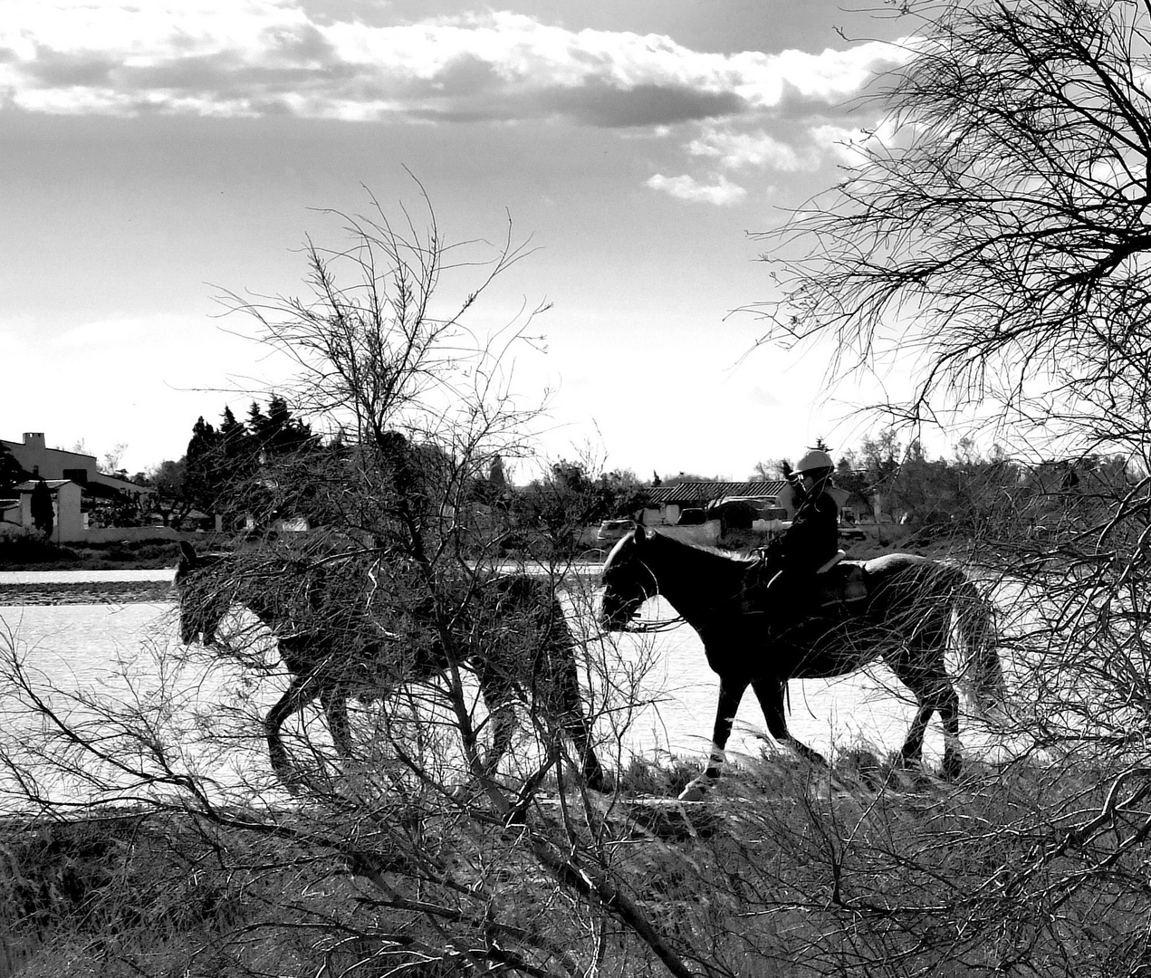 En Camargue (2)