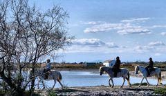 En Camargue