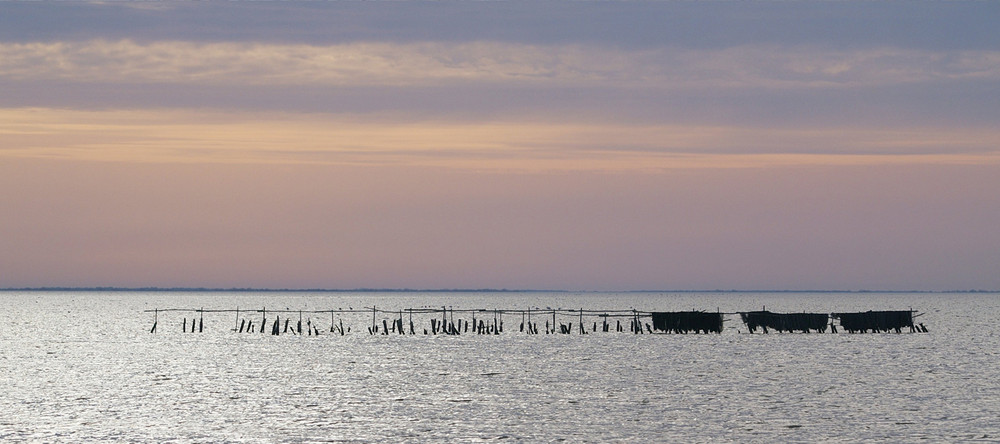 En Camargue en fin de journée